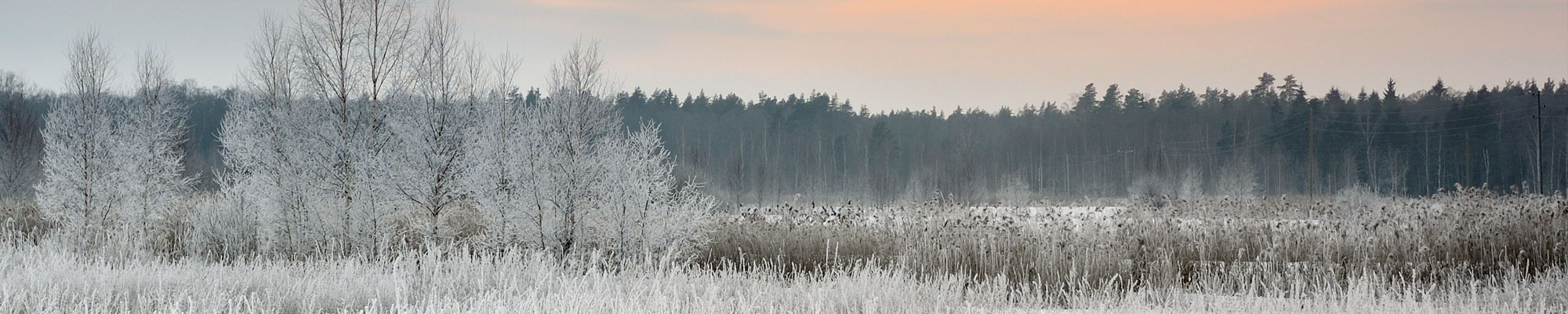 ProEt – koulutuksella kohti eettisyyttä